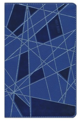 NIV Premium Gift Bible, Youth Edition
