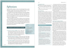 NLT Beyond Suffering Bible