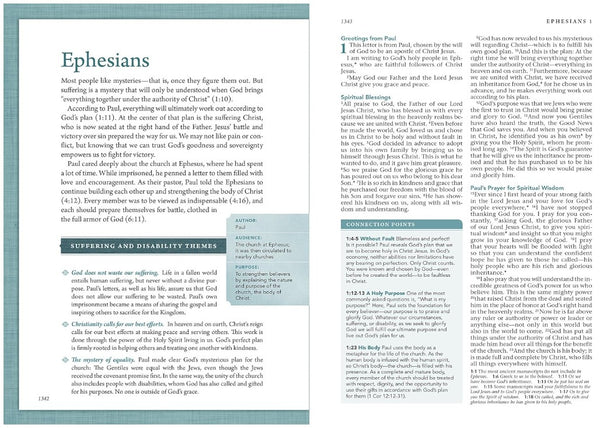 NLT Beyond Suffering Bible