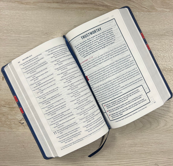 NIV College Devotional Bible Leather Navy/Red