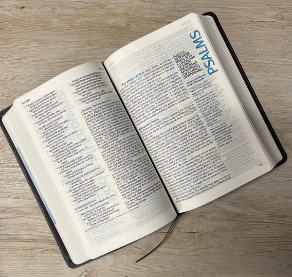 NLT In His Image Devotional Bible