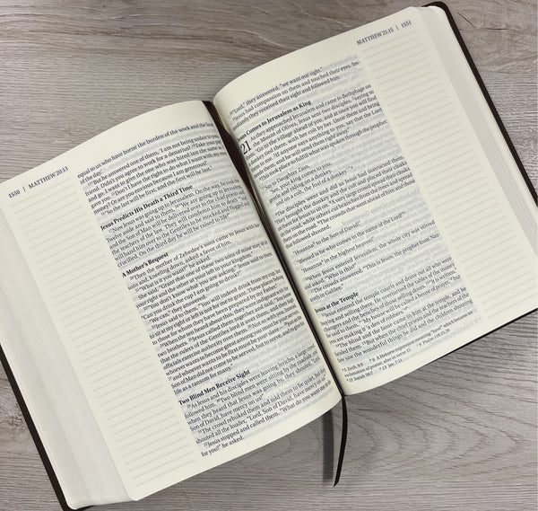 NIV Journal the Word Bible - Large Print