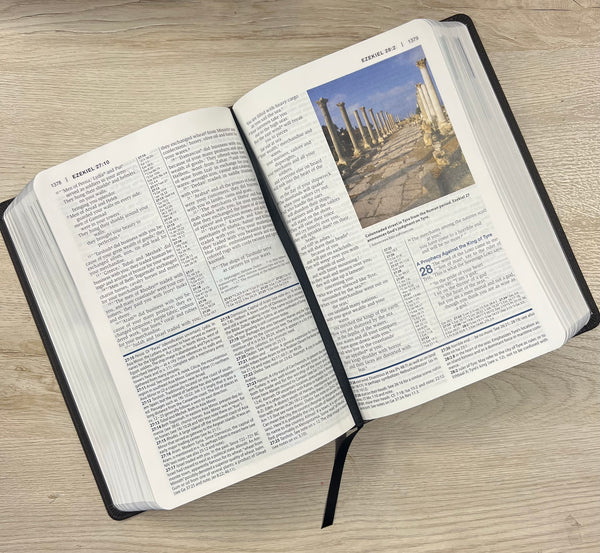 NIV Study Bible,Leathersoft, Chocolate/Black