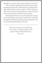 Soar Like Eagles: Devotions for Men
